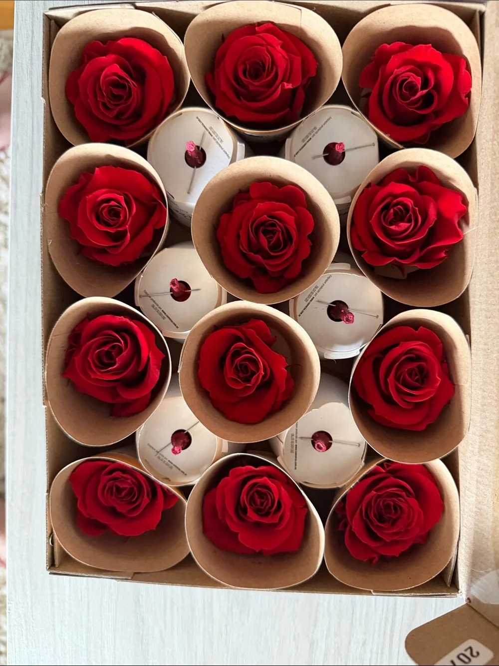RoseAmor Dark Red Luxury Ecuadorian Preserved Rose Heads
